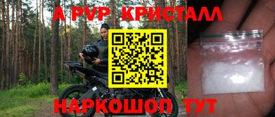 гидра Гай