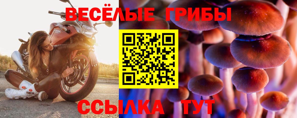 Галлюциногенные грибы Cubensis  Псилоцибиновые грибы ЛСД  Вход с VPN  Омск 