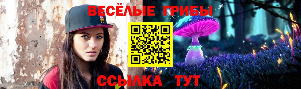 Галлюциногенные грибы Cubensis Омск